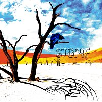 Stopif – Corvus Corax