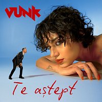 VUNK – Te a?tept