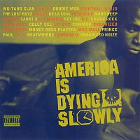Various Artists.. – America Is Dying Slowly