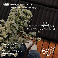 Přední strana obalu CD ????????? (bossalove)