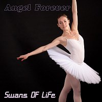 Swans Of Life – Angel Forever