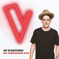 AP D'Antonio – Mr Tambourine Man [The Voice Australia 2018 Performance / Live]