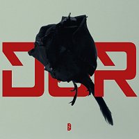 Dora Gaitanovici, Irina Rimes – Dor
