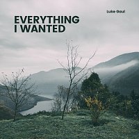 Luke Gaul – Everything I Wanted (Arr. for Guitar)