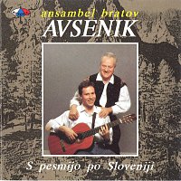 Ansambel bratov Avsenik – S pesmijo po Sloveniji