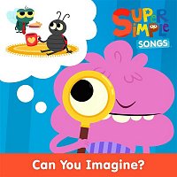 Přední strana obalu CD Can You Imagine?