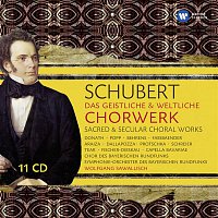 Schubert: Das geistliche & weltliche Chorwerk · Sacred & Secular Choral Works