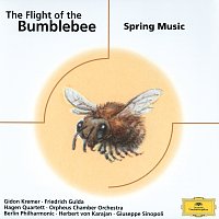 Různí interpreti – The Flight of the Bumblebee - Spring Music