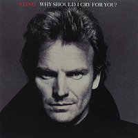 Sting – Why Should I Cry For You?