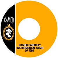 Přední strana obalu CD Cameo Parkway Instrumental Gems Of 1966