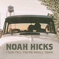 Noah Hicks – I Can Tell You’re Small Town