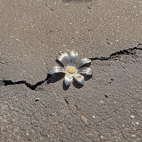 Sabrina ??? – ?????
