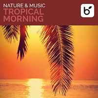 David Arkenstone – Nature & Music: Tropical Morning