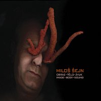 Miloš Šejn – Obraz – tělo- zvuk CD+DVD