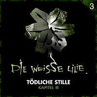 Přední strana obalu CD 03: Todliche Stille - Kapitel III