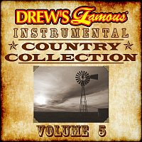 Přední strana obalu CD Drew's Famous Instrumental Country Collection, Vol. 5