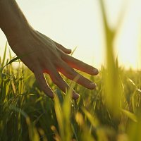 Přední strana obalu CD Sparsh