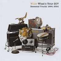 Přední strana obalu CD What's Your 20? Essential Tracks 1994 - 2014
