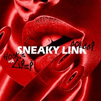 Colcci, Lisi, Hooks – Sneaky Link