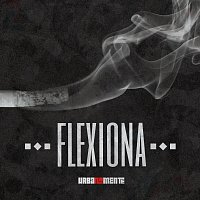 Urbanamente, Mc Don Juan, Pedro Lotto, Pk, Sotam – Flexiona
