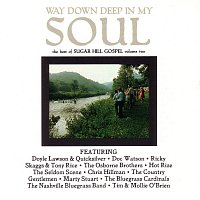 Různí interpreti – Way Down In My Soul: Best Of Sugar Hill Gospel