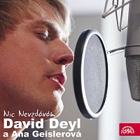 David Deyl – Nic nevzdávám MP3