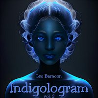 Leo Barnoon – Indigologram, Vol. 2