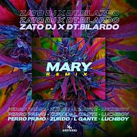 Zato DJ, Perro Primo, L-Gante, DT.Bilardo, Zurdo, Luchiboy – Mary Remix