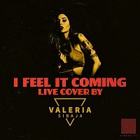 Valeria Sibaja – I Feel It Coming