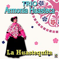 Trío Armonia Huasteca – La Huastequita