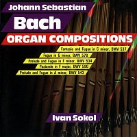 Ivan Sokol – Organ Compositions (Live)