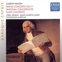 Haydn: Piano Concertos d-major