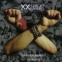 Varios Artistas – XX Anos XX Bandas: Xutos & Pontapés Tributo