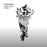 Luminize – Follow You