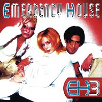 Emergency House – Eh3