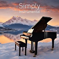 Chris Snelling, Jonathan Sarlat, Paula ?iete, Django Wallace, Max Arnald – Simply Instrumental