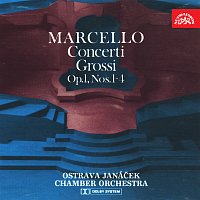 Přední strana obalu CD Marcello: Concerti grossi