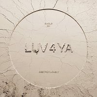 Destroy Lonely – LUV 4 YA