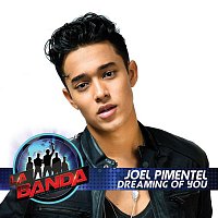 Joel Pimentel – Dreaming of You (La Banda Performance)