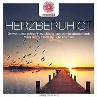 entspanntSEIN - Herzberuhigt (Ein wohltuend ruhiger Herzschlag eingebettet in entspannende Musik lasst Sie sanft zur Ruhe kommen)