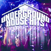 Různí interpreti – Underground House Hits