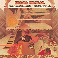 Přední strana obalu CD Fulfillingness' First Finale