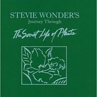 Stevie Wonder – Journey Through The Secret Life Of Plants CD