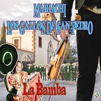 Mariachi los Gallos de San Pedro – La Bamba