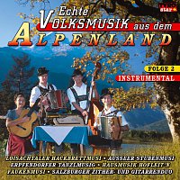 Diverse Interpreten – Echte Volksmusik aus dem Alpenland Folge 2
