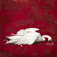 Murda – SEVG?