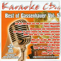 Karaokefun.cc VA – Best of Gassenhauer Vol.5