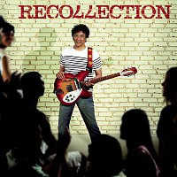 Laurent Voulzy – Recollection
