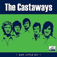 The Castaways – Any Little Bit