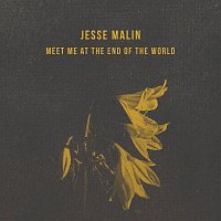Jesse Malin – Meet Me At The End Of The World